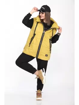 Брючные костюмы 2738