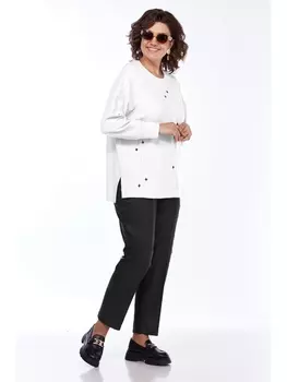 Брючные костюмы 3190-2