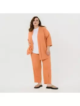 Брюки 2531707 *