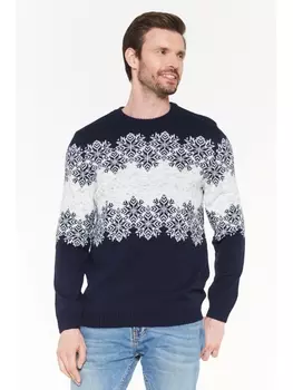 Джемперы Джемпер мужской 192-12195