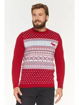 Джемперы Джемпер мужской 192-12196