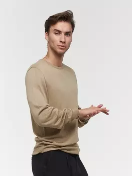 Джемперы Джемпер мужской 211-12312