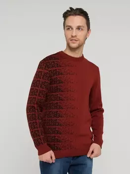 Джемперы Джемпер мужской 212-12262