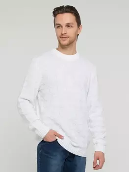 Джемперы Джемпер мужской 212-12295