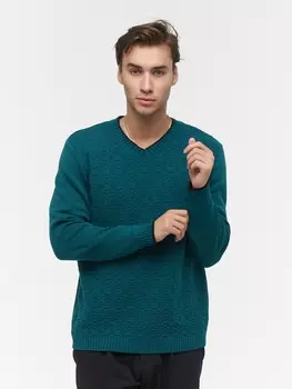 Джемперы Джемпер мужской 212-12302