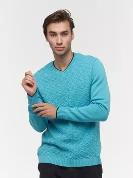 Джемперы Джемпер мужской 212-12302