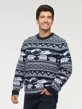 Джемперы Джемпер мужской 222-12335