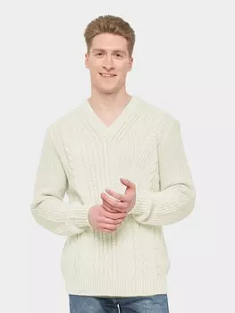 Джемперы Джемпер мужской 7222-15013