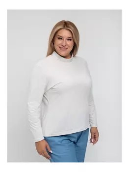 Гольфы, водолазки 1048