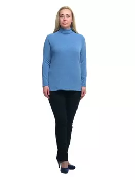 Гольфы, водолазки 1808001/1