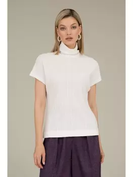 Гольфы, водолазки 60517