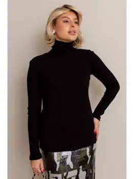 Гольфы, водолазки АВ-01д черный