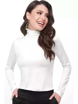 Гольфы, водолазки Б-1967