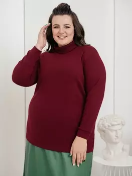 Гольфы, водолазки НБ028-32