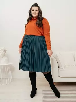 Гольфы, водолазки НБ028-33