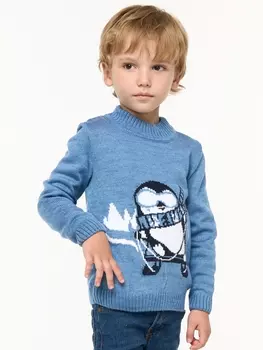 Кофты,Джемперы Джемпер детский 9232-96005