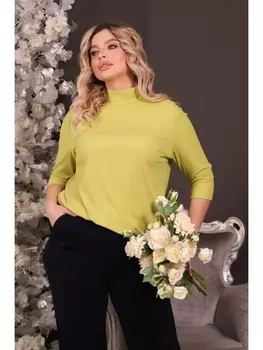 Кофты, джемперы Водолазка М4-4814/27