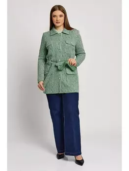 Пиджаки, жакеты Д 3039