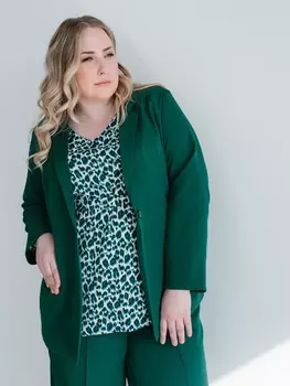 Пиджаки, жакеты НБ528-31