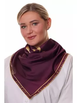 Платки, палантины 0210-831
