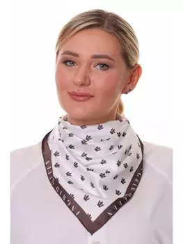 Платки, палантины 0211-002