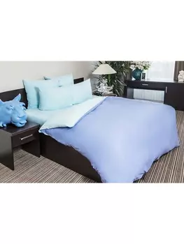 Постельное белье 2.0-спальное с евро Постельное белье Василек 802+608 Поплин гл/кр 2 сп. Евро 50х70 (2)