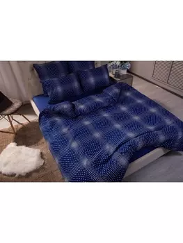 Постельное белье Семейное Постельное белье Сван (синий) 70048-2+809 Поплин сем. 70х70 (2)