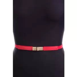 Ремни Ремень Р-21/90