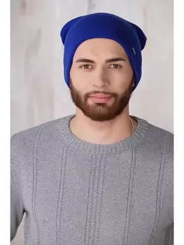 Шапки Шапка мужская 8501