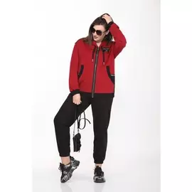 Спортивные костюмы 2744 красный