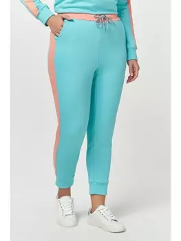 Спортивные штаны 2012016/4