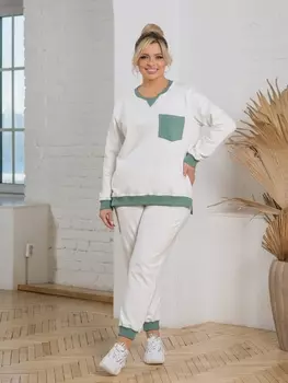 Спортивные штаны Б-151/3