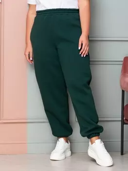 Спортивные штаны бр_джокер_10изумр