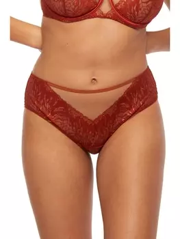 Трусы 858/3-P FIREBIRD Трусы слипы