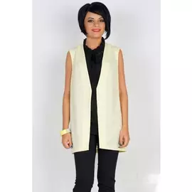 Жилеты АЖ-1115