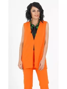 Жилеты АЖ-1162