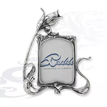 Аксессуар из серебра 0070502A