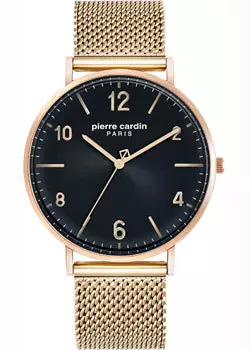 fashion наручные мужские часы Pierre Cardin PC902651F16. Коллекция Gents