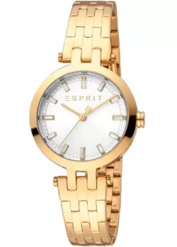 fashion наручные женские часы Esprit ES1L342M0075. Коллекция Brooklyn