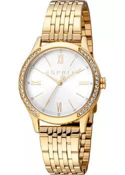 fashion наручные женские часы Esprit ES1L345M0065. Коллекция Anny