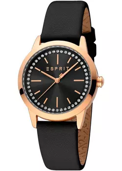 fashion наручные женские часы Esprit ES1L362L0045. Коллекция Vaya