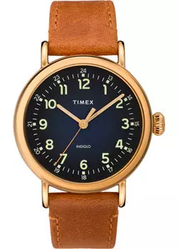 мужские часы Timex TW2T20000VN. Коллекция Standard