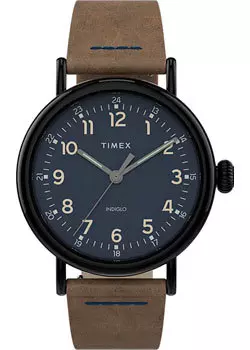 мужские часы Timex TW2T69400YL. Коллекция Standard