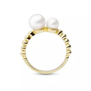 Серебряное кольцо NP3792