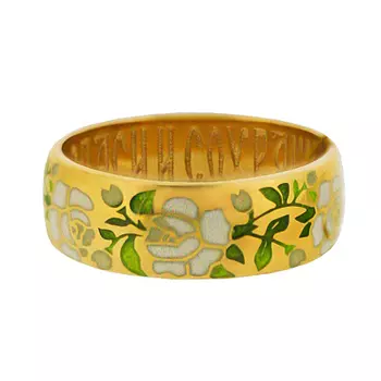 Серебряное кольцо WR_6.25Z.17