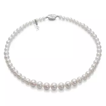 Серебряное колье NP118