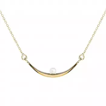 Серебряное колье NP3767