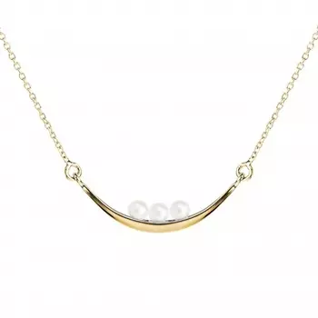 Серебряное колье NP3777