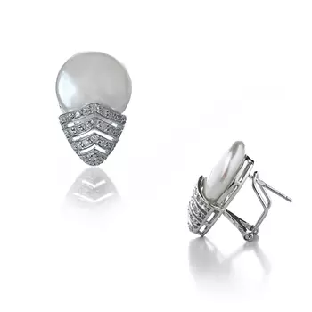 Серебряные серьги NP1140