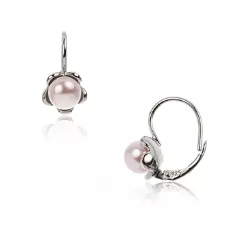 Серебряные серьги NP1640